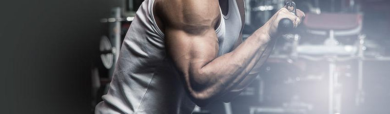 Loading Your Guns part two: Optimizing Your Tricep workouts